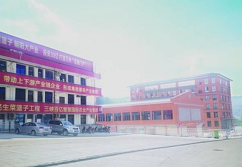 三峽國際農產品集散基地 商貿區(qū) 年底投入運營 豐富渝東北片區(qū) 菜籃子